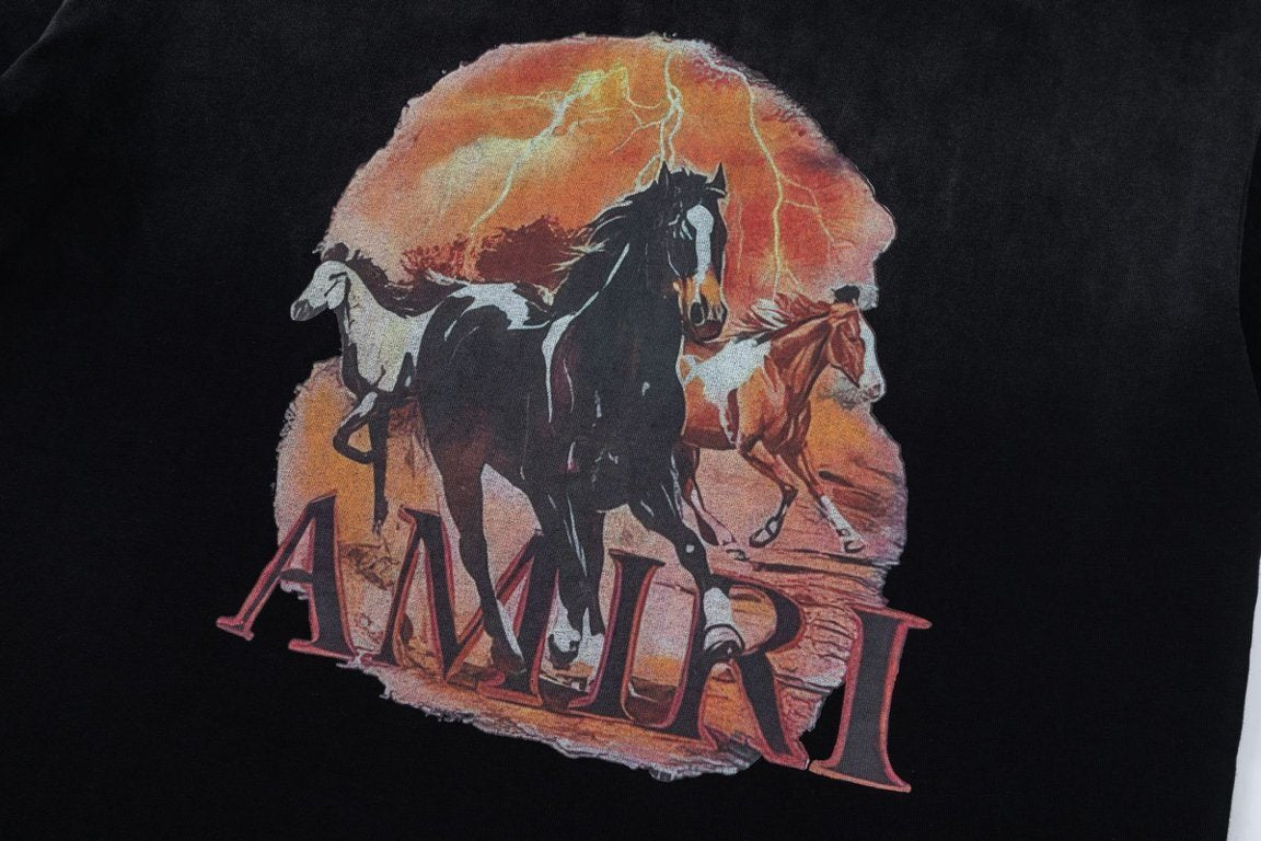 AMIRI Plains graphic T-Shirt